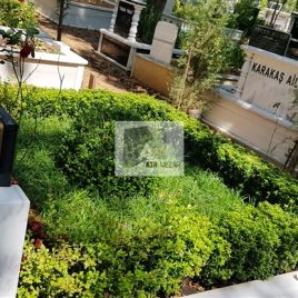 No: 5079 Yeşilik Ve Mevsimlik Çiçek Tasarım