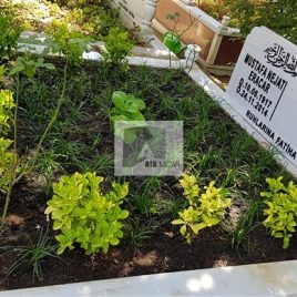 No: 5083 Yeşilik Ve Mevsimlik Çiçek Tasarım
