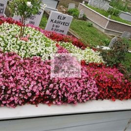 No: 4092 Üst Tasarım