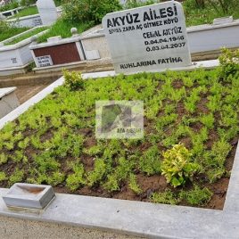 No: 5094 Yeşilik Ve Mevsimlik Çiçek Tasarım