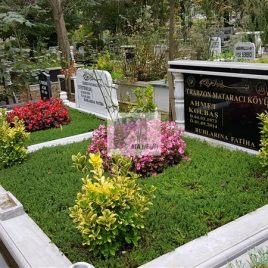 No: 5097 Yeşilik Ve Mevsimlik Çiçek Tasarım