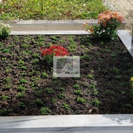 No: 5101 Yeşilik Ve Mevsimlik Çiçek Tasarım