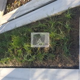 No: 5104 Yeşilik Ve Mevsimlik Çiçek Tasarım