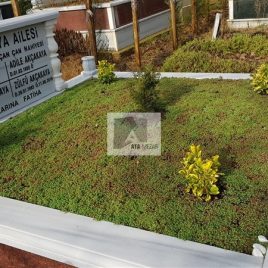 No: 5105 Yeşilik Ve Mevsimlik Çiçek Tasarım