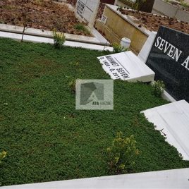 No: 5106 Yeşilik Ve Mevsimlik Çiçek Tasarım