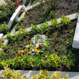 No: 5109 Yeşilik Ve Mevsimlik Çiçek Tasarım