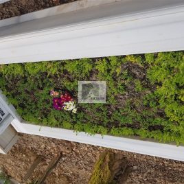 No: 5114 Yeşilik Ve Mevsimlik Çiçek Tasarım