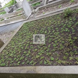 No: 5120 Yeşilik Ve Mevsimlik Çiçek Tasarım