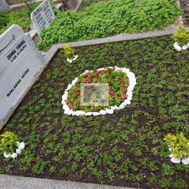 No: 5122 Yeşilik Ve Mevsimlik Çiçek Tasarım