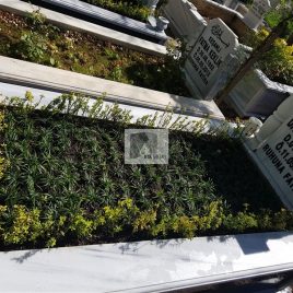 No: 5124 Yeşilik Ve Mevsimlik Çiçek Tasarım