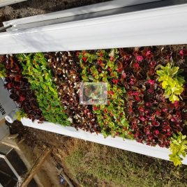 No: 4101 Üst Tasarım