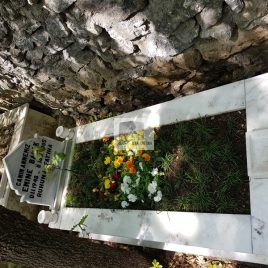 No: 5127 Yeşilik Ve Mevsimlik Çiçek Tasarım