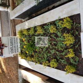 No: 5131 Yeşilik Ve Mevsimlik Çiçek Tasarım