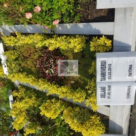 No: 5133 Yeşilik Ve Mevsimlik Çiçek Tasarım