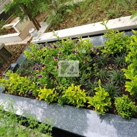 No: 5135 Yeşilik Ve Mevsimlik Çiçek Tasarım