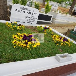 No: 5137 Yeşilik Ve Mevsimlik Çiçek Tasarım