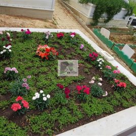 No: 5138 Yeşilik Ve Mevsimlik Çiçek Tasarım