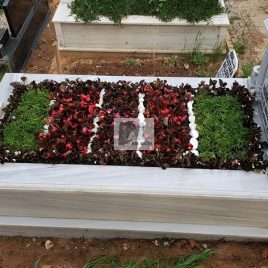 No: 4107 Üst Tasarım