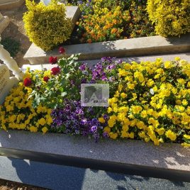 No: 4110 Üst Tasarım