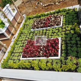 No: 4111 Üst Tasarım