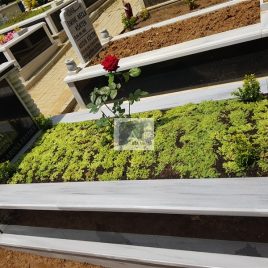 No: 5147 Yeşilik Ve Mevsimlik Çiçek Tasarım