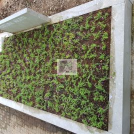 No: 5151 Yeşilik Ve Mevsimlik Çiçek Tasarım