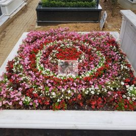 No: 4123 Üst Tasarım
