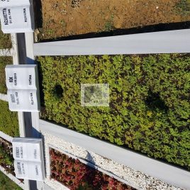 No: 5157 Yeşilik Ve Mevsimlik Çiçek Tasarım