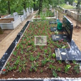 No: 5160 Yeşilik Ve Mevsimlik Çiçek Tasarım