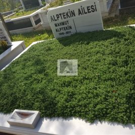 No: 5169 Yeşilik Ve Mevsimlik Çiçek Tasarım