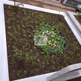 No: 5173 Yeşilik Ve Mevsimlik Çiçek Tasarım