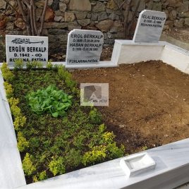 No: 5179 Yeşilik Ve Mevsimlik Çiçek Tasarım