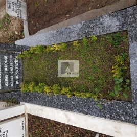 No: 5182 Yeşilik Ve Mevsimlik Çiçek Tasarım