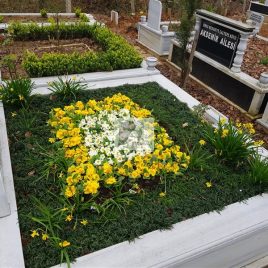 No: 5184 Yeşilik Ve Mevsimlik Çiçek Tasarım