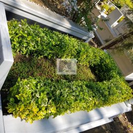 No: 5187 Yeşilik Ve Mevsimlik Çiçek Tasarım