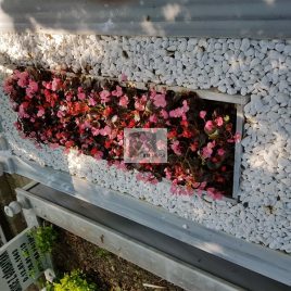 No: 3017 Taşlı Tasarım