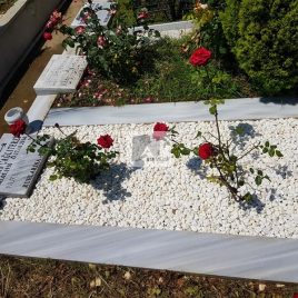 No: 3102 Taşlı Tasarım