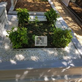 No: 3106 Taşlı Tasarım