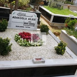 No: 3171 Taşlı Tasarım