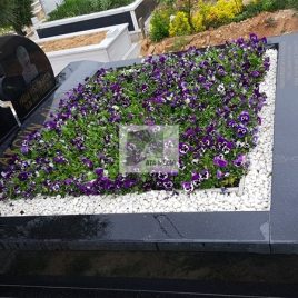 No: 3179 Taşlı Tasarım