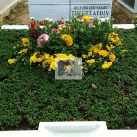 No: 5218 Yeşilik Ve Mevsimlik Çiçek Tasarım