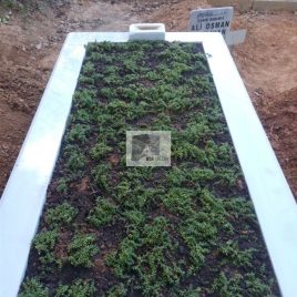 No: 5220 Yeşilik Ve Mevsimlik Çiçek Tasarım