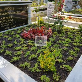 No: 5221 Yeşilik Ve Mevsimlik Çiçek Tasarım