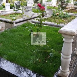 No: 5223 Yeşilik Ve Mevsimlik Çiçek Tasarım