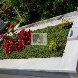 No: 5224 Yeşilik Ve Mevsimlik Çiçek Tasarım