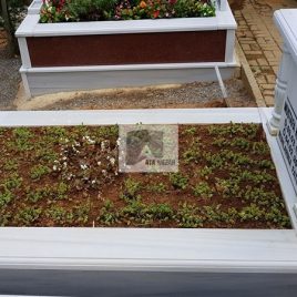 No: 5225 Yeşilik Ve Mevsimlik Çiçek Tasarım