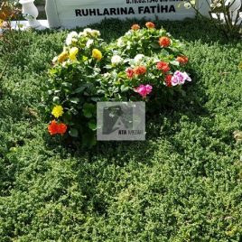 No: 5231 Yeşilik Ve Mevsimlik Çiçek Tasarım