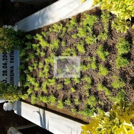 No: 5250 Yeşilik Ve Mevsimlik Çiçek Tasarım