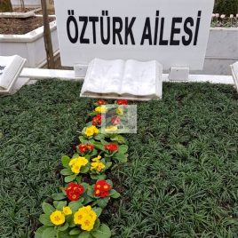No: 5253 Yeşilik Ve Mevsimlik Çiçek Tasarım