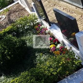 No: 5255 Yeşilik Ve Mevsimlik Çiçek Tasarım